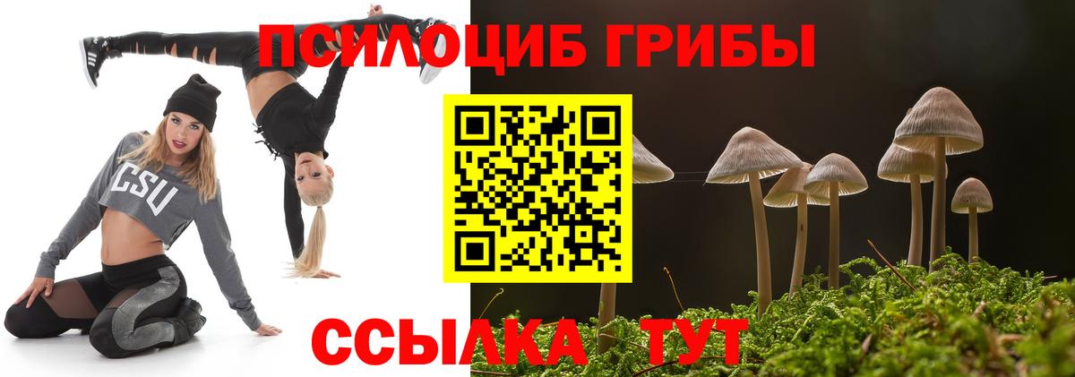 Мегион  Галлюциногенные грибы MAGIC MUSHROOMS  Псилоцибиновые грибы Psilocybe  Вход с VPN 