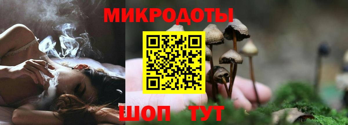 Псилоцибиновые грибы Cubensis Мегион